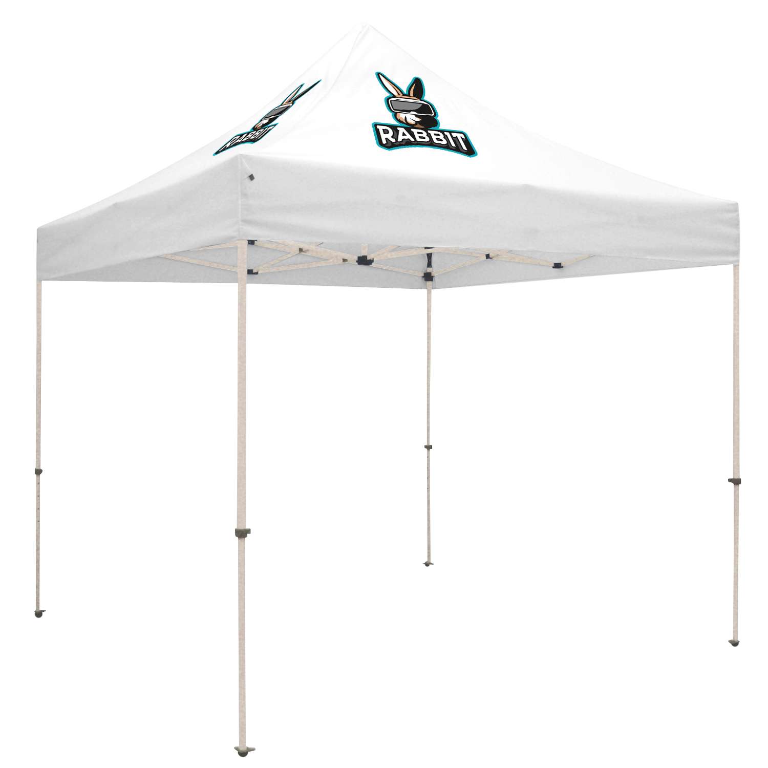 10' Standard Tent Kit (Full-Color Imprint, 2 Locations) view 2