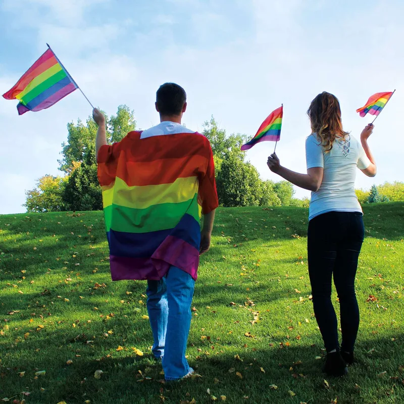 Pride Body Flag view 4