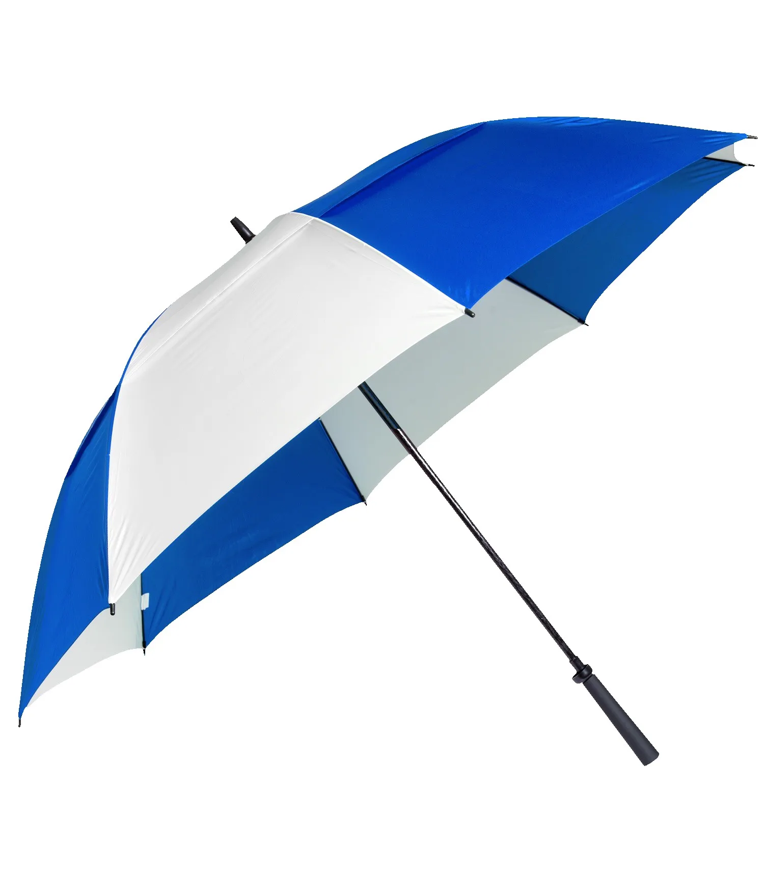 The Eagle Umbrella view 5
