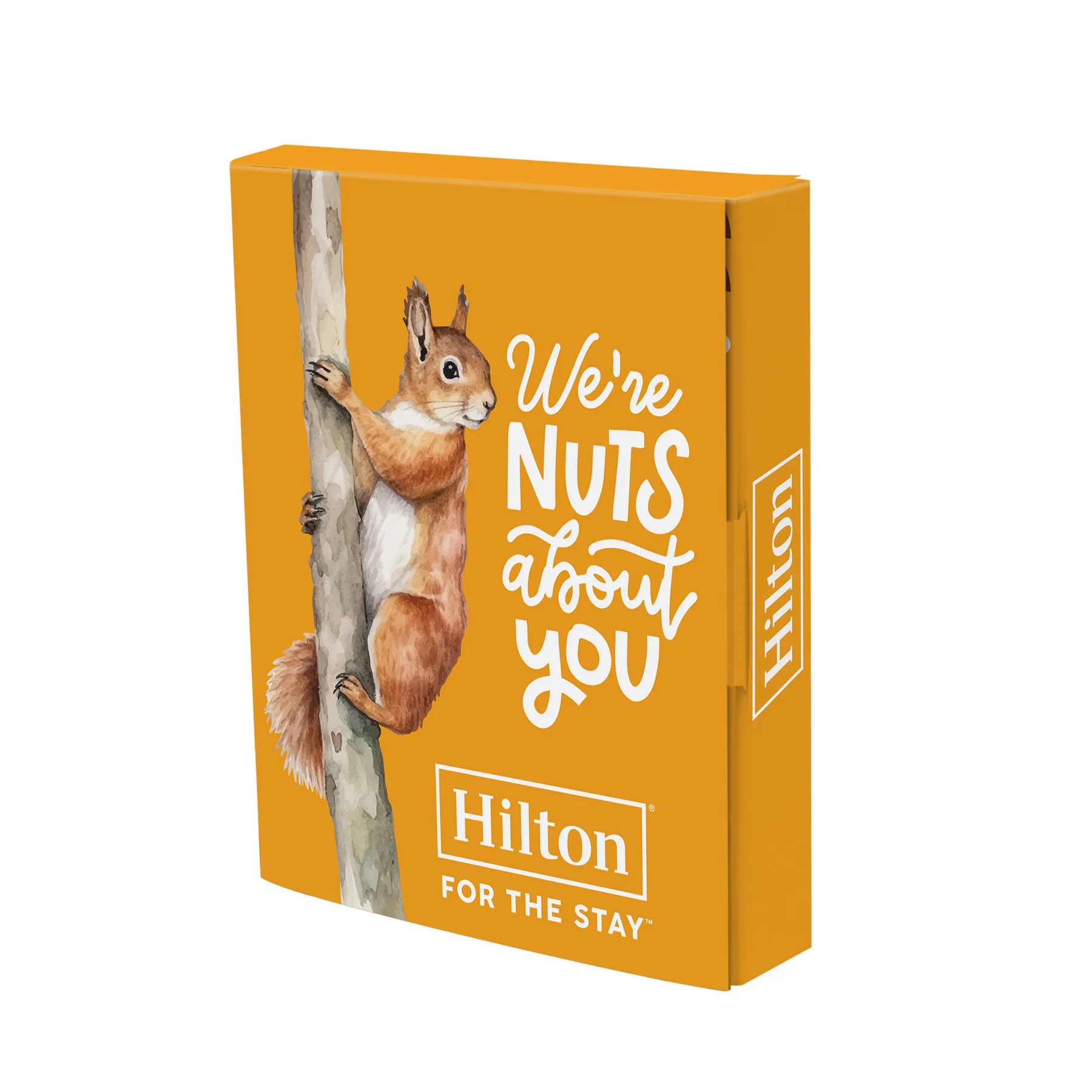 Book Window Box- Honey Roasted Peanuts view 4