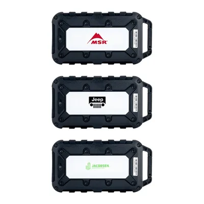 Lion Energy Cub 10000 mAh Powerbank