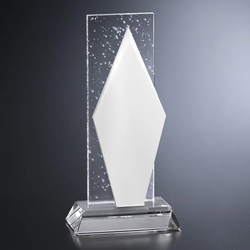 Triton Award 9-1/2" view 2