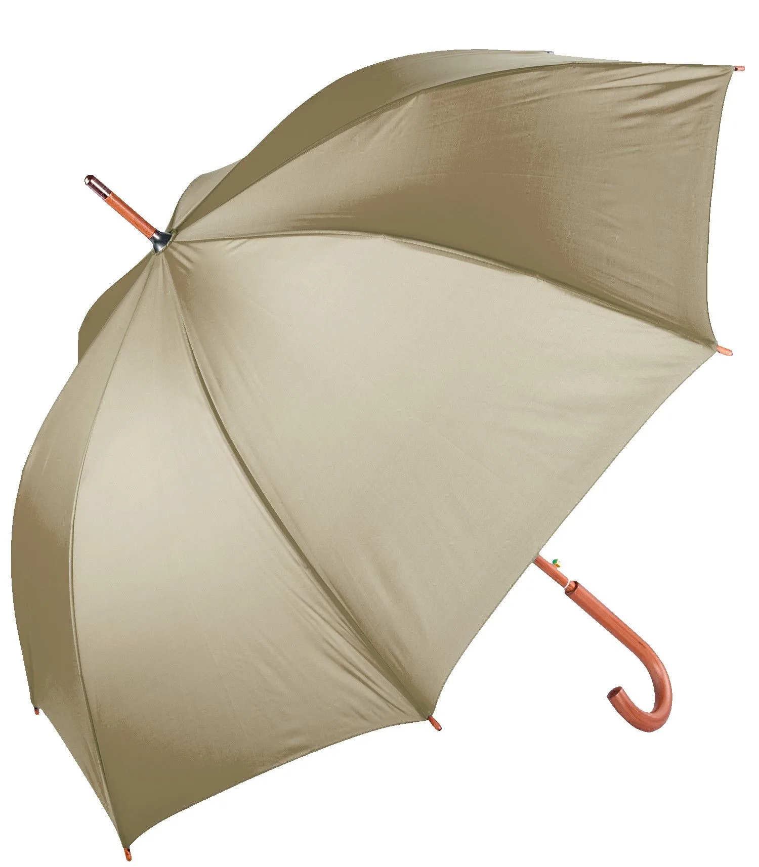 The Hotel Umbrella view 2