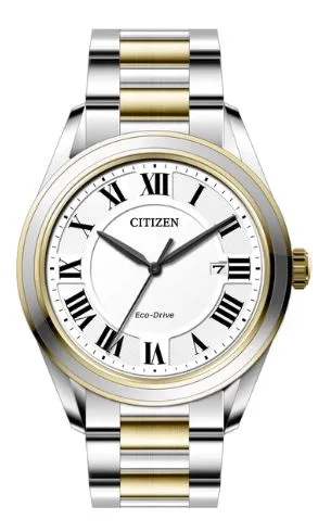 Citizen® Men's Arezzo Eco-Drive® Two-Tone Stainless Steel Bracelet Watch
