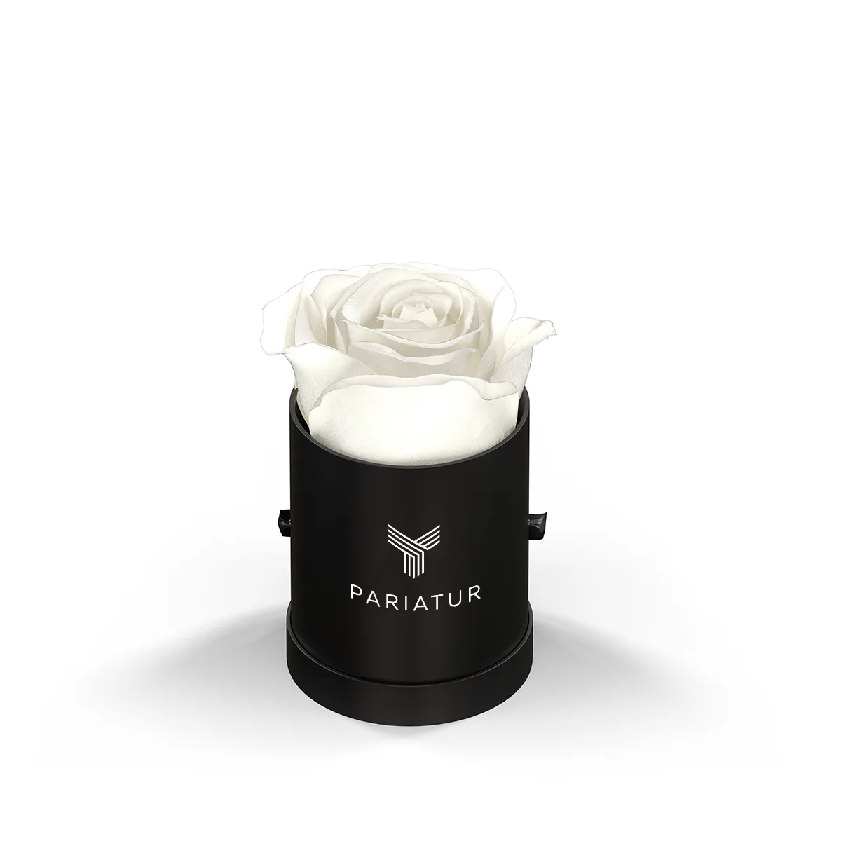 93920 BLKBOX WHT Silkscreen