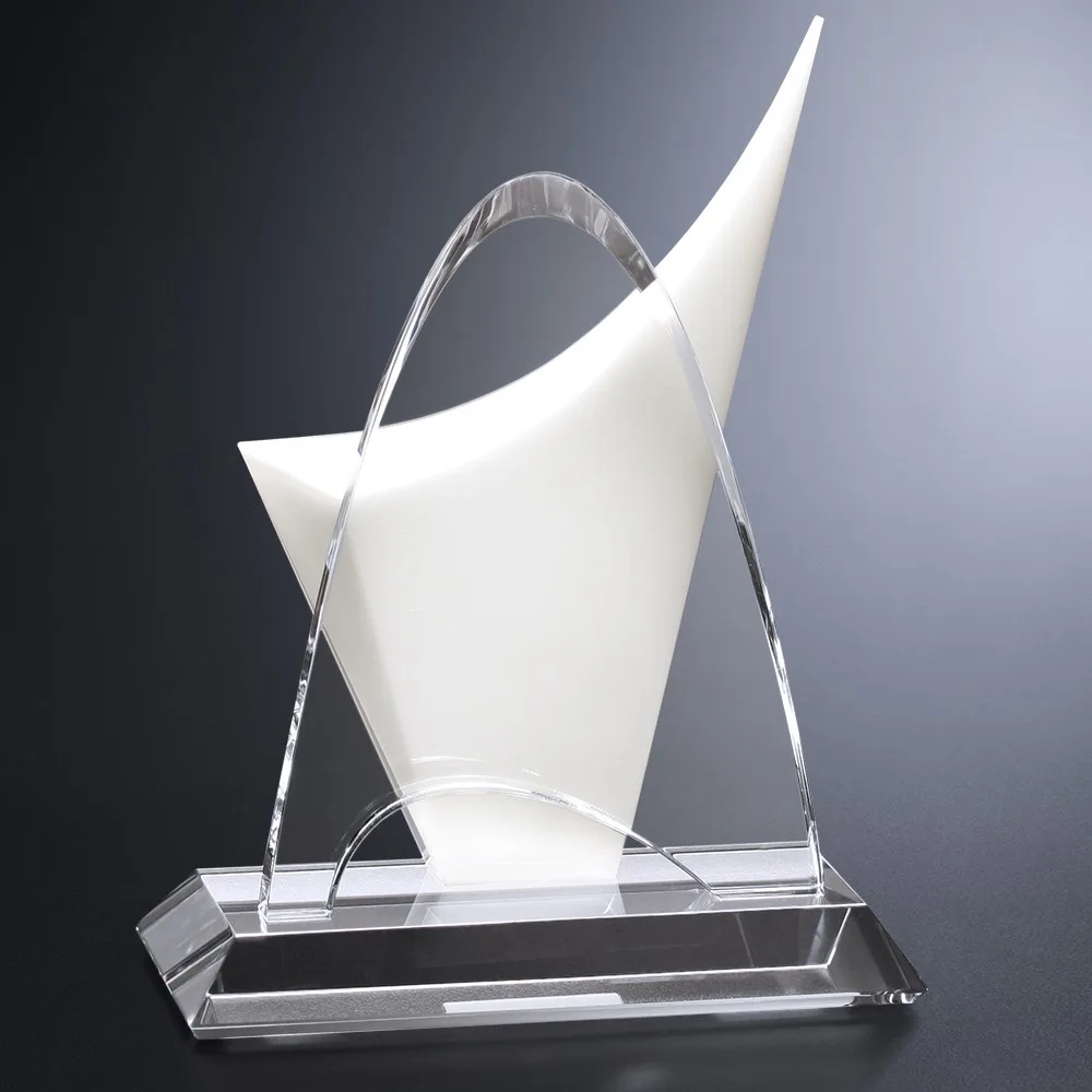 Discovery Award 10" view 2