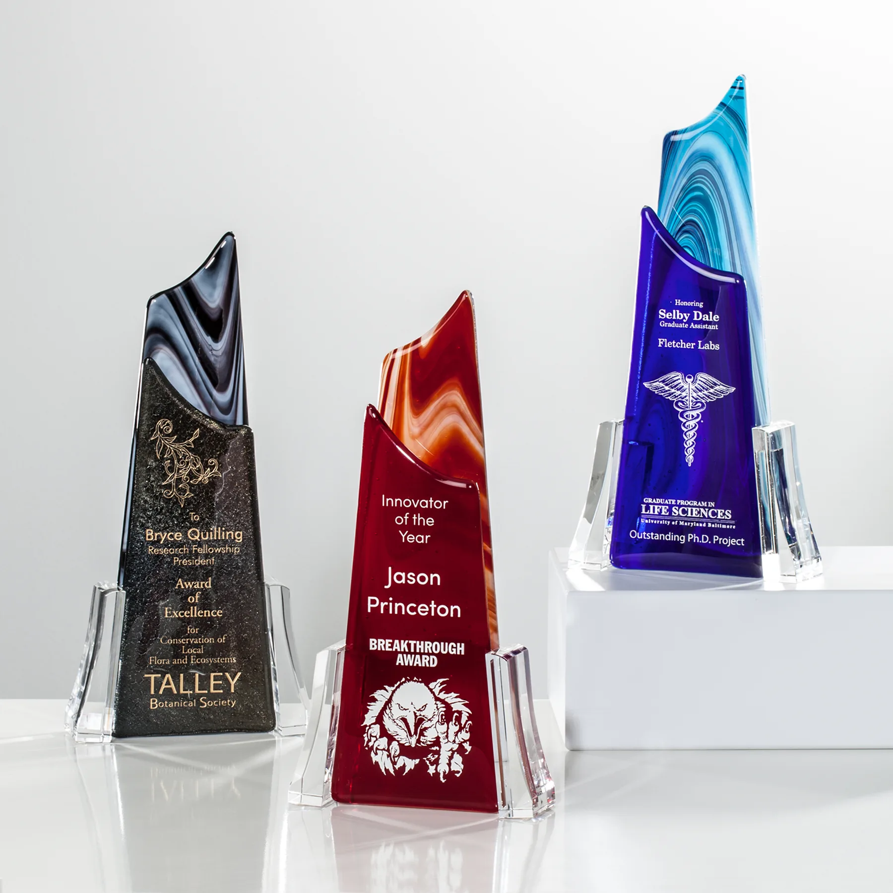 Dynasty Award