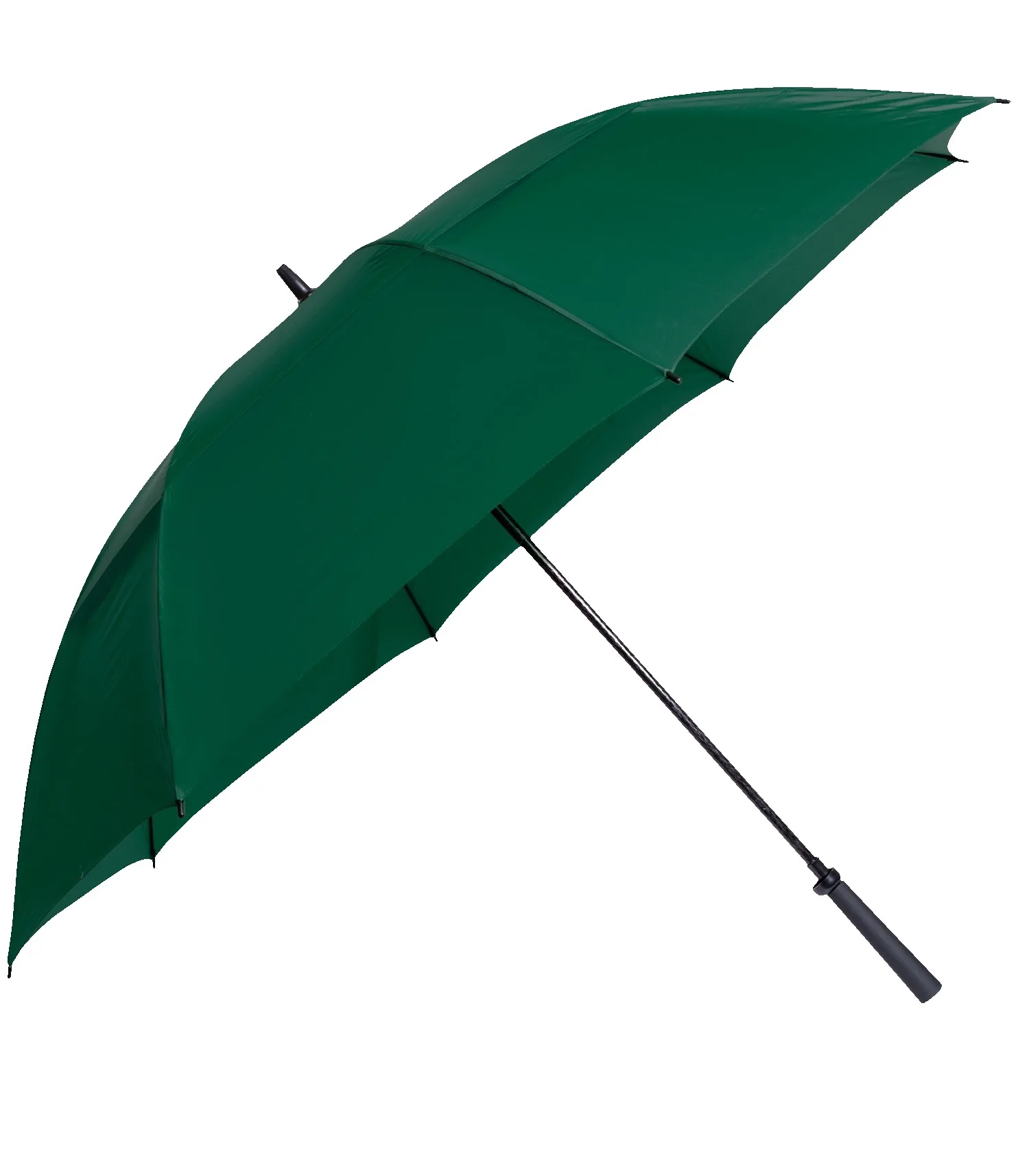 The Eagle Umbrella view 2
