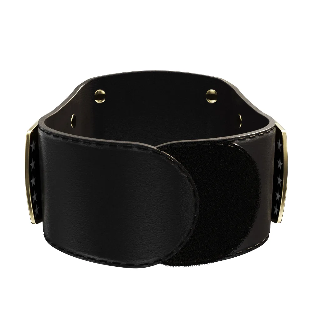 Vibraprint® Lil' Legacy Championship Belt in Black view 5