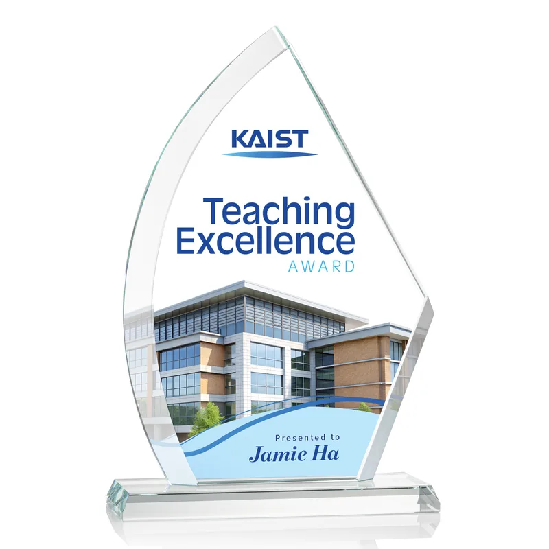 Ayrton Award