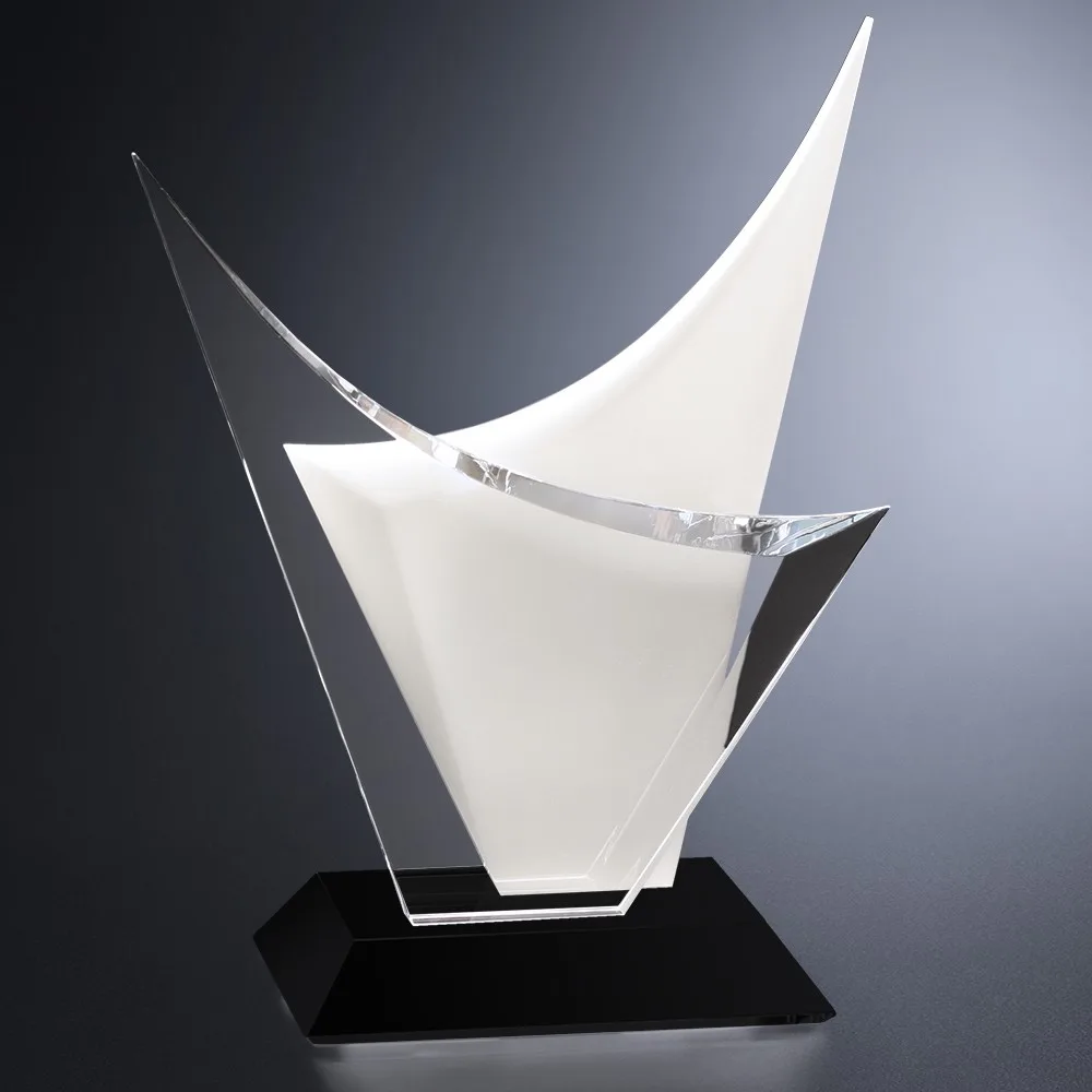 Voyager Award 11-3/4" view 2