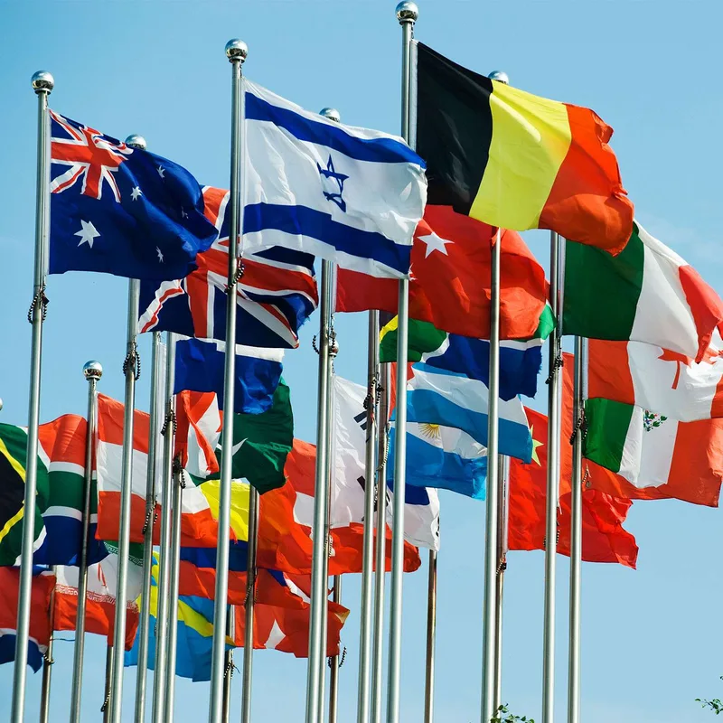 5' x 8' International Flag view 3
