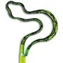 Snake 2 Multi-Color InkBend Standard Bent Pen