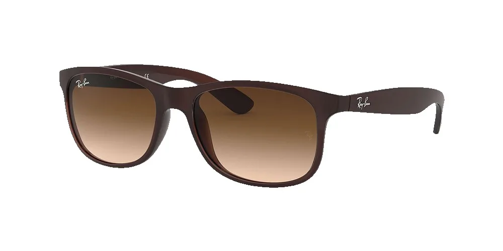 Ray-Ban RB4202 Andy Sunglasses