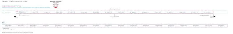 Tacoma Crossbody Phone Lanyard view 6