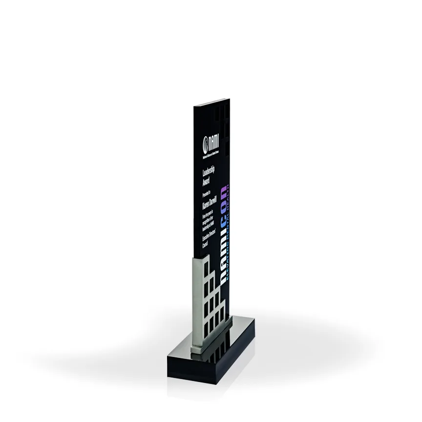 Matrix Award 9" Silver view 4