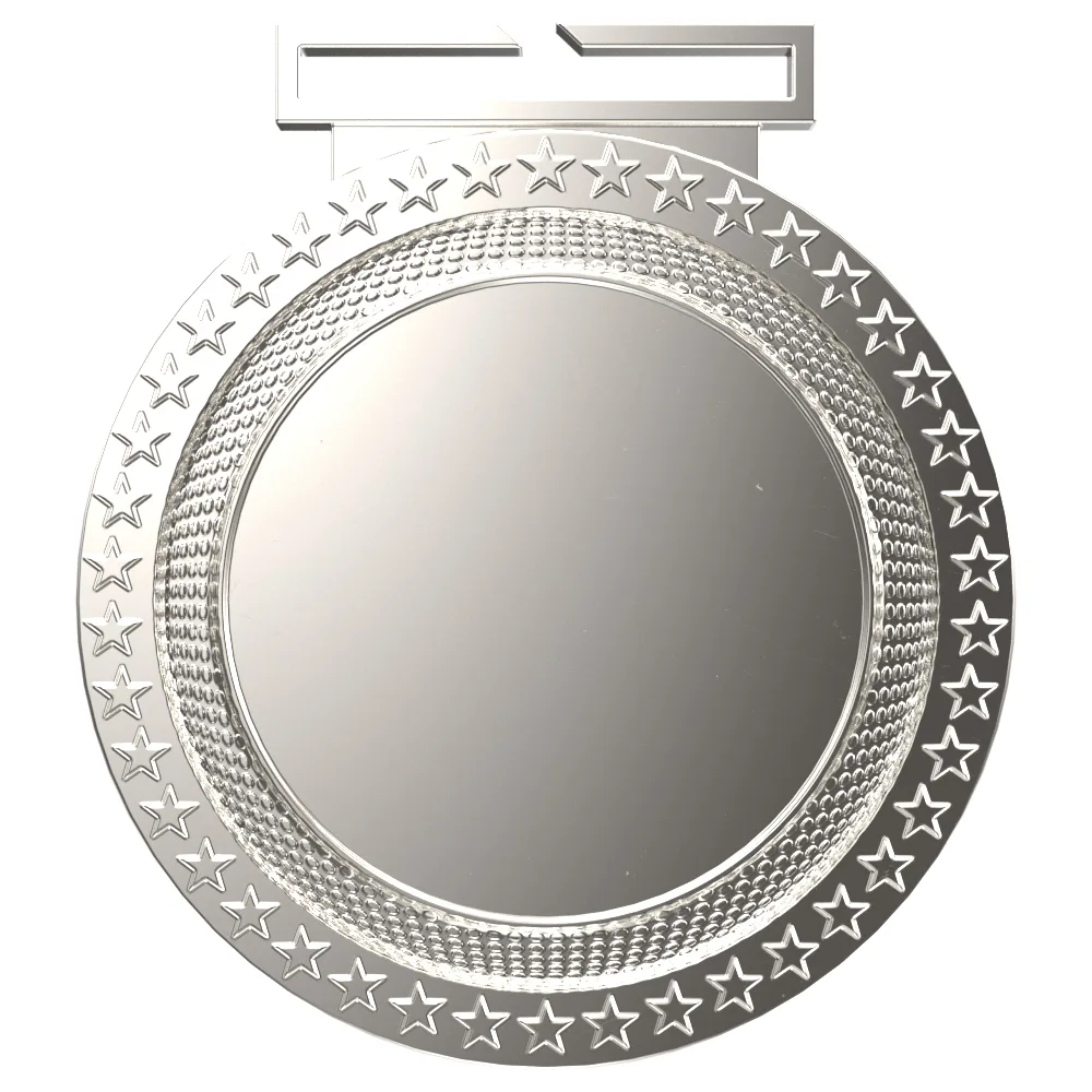 Bright Silver/Gold