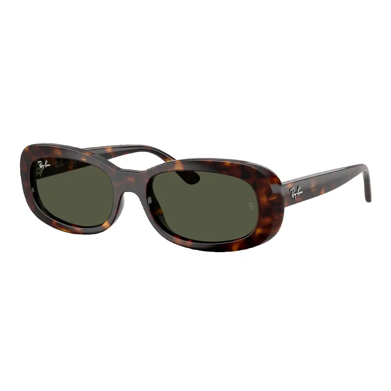 Ray-Ban Women's RB2221 Sunglasses