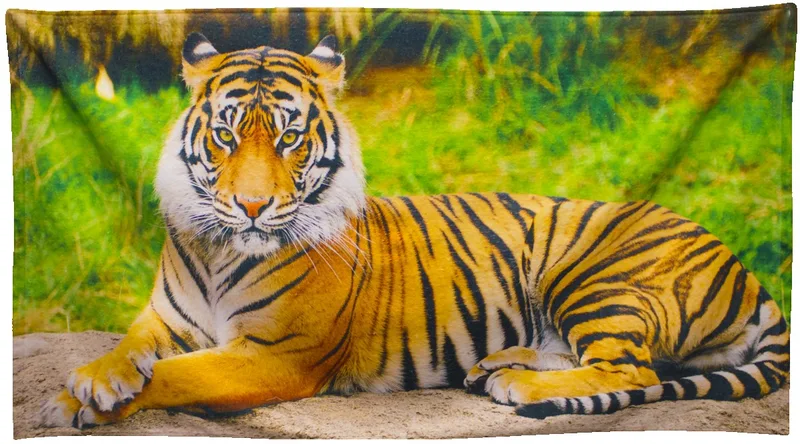 Full Color Dye Sublimated Beach Towel