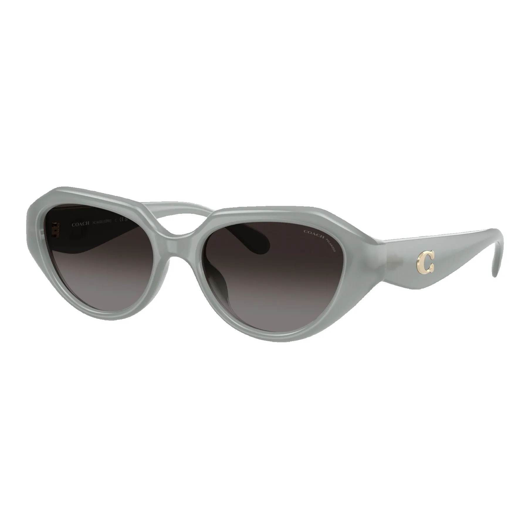 Coach Women's Polarized HC8433U Sunglasses