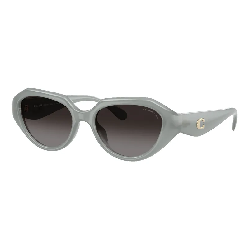 Coach Women's Polarized HC8433U Sunglasses