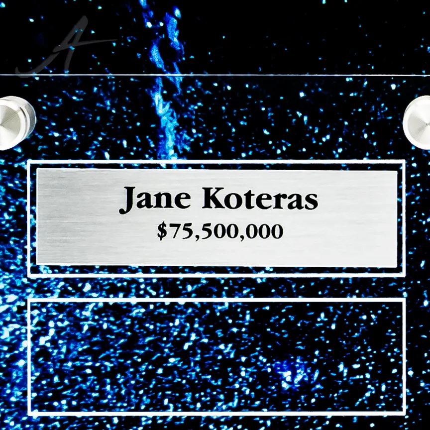 Dynamic Perpetual Award Plaque - 9x12, Vertical view 3
