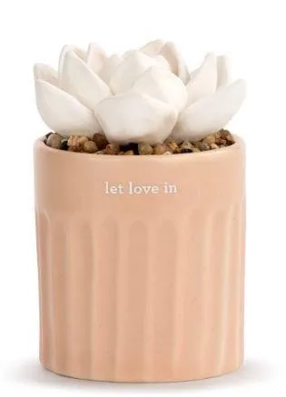 Demdaco (AMC) Succulent Oil Diffuser - Love