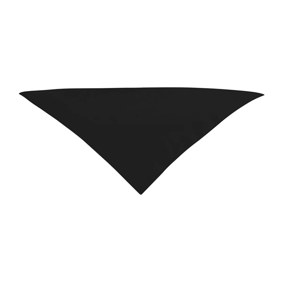 Small Triangle Rpet Pet Bandana view 3