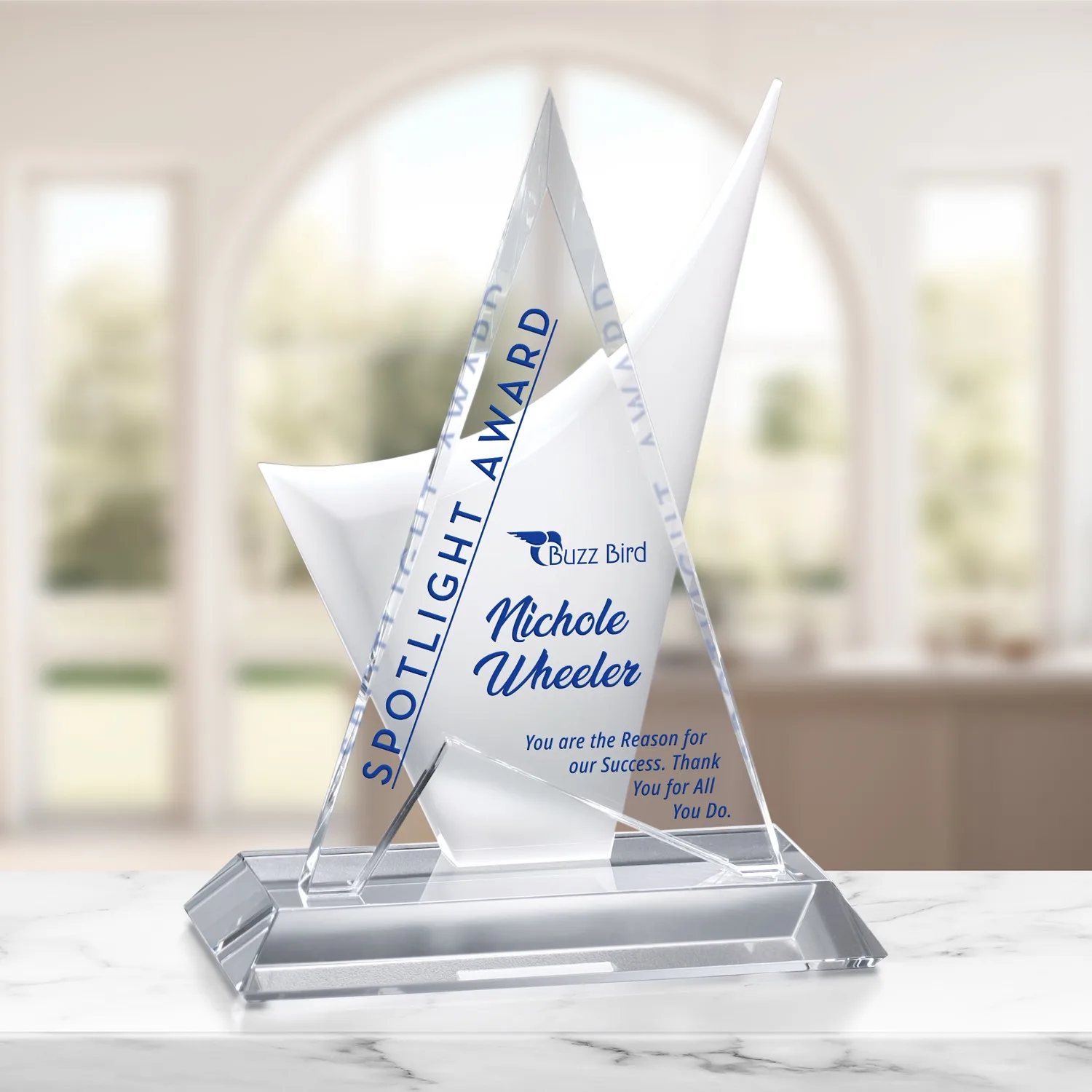 Enterprise Award 10-1/2"