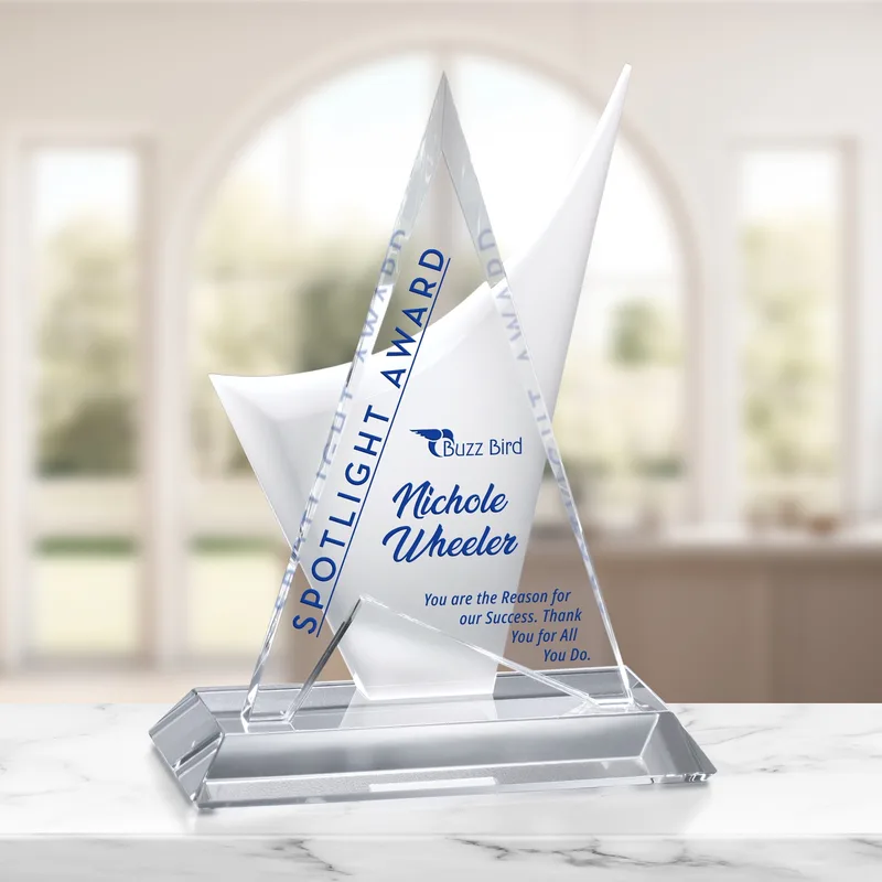 Enterprise Award 10-1/2"