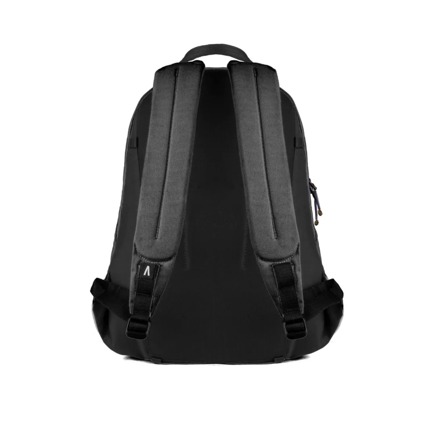 Black Back