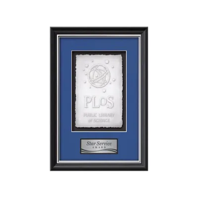 Baron Cast Paper- Black/Silver