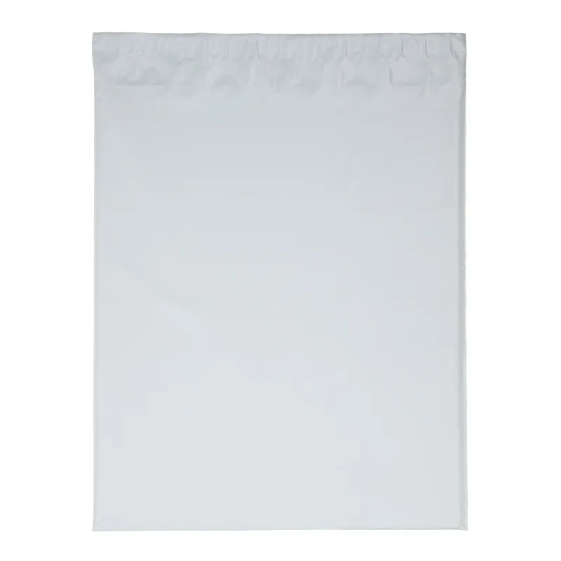 15W x 18H Plastic Mailer - Dynamic Color view 2