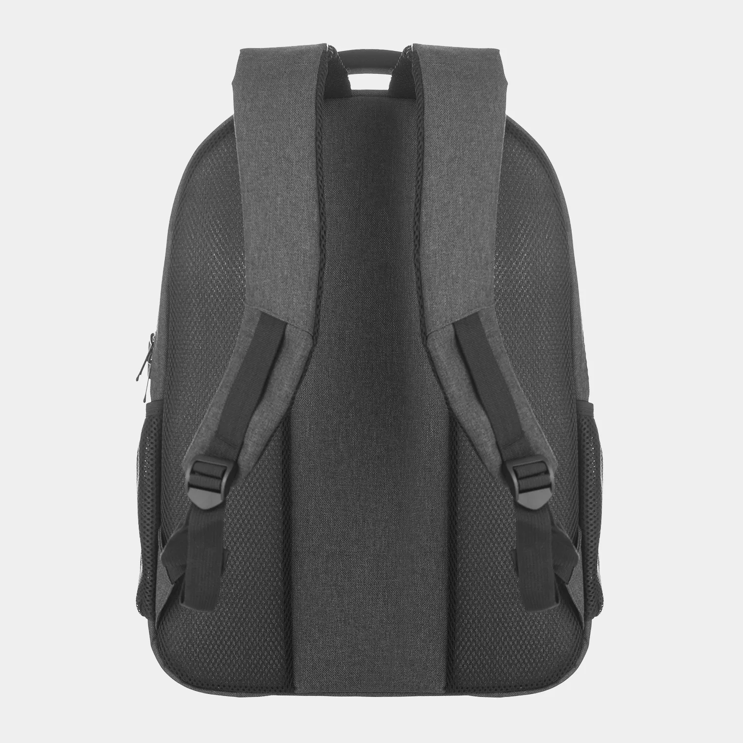 Back View