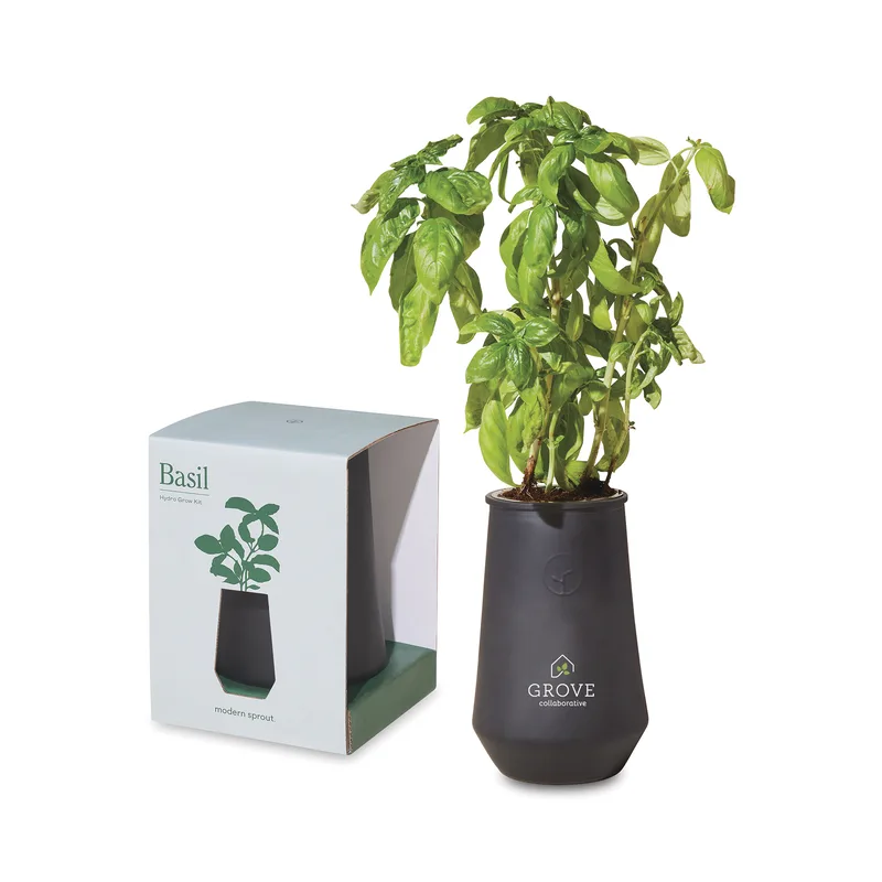 Modern Sprout Tapered Tumbler Grow Kit - Black-Basil