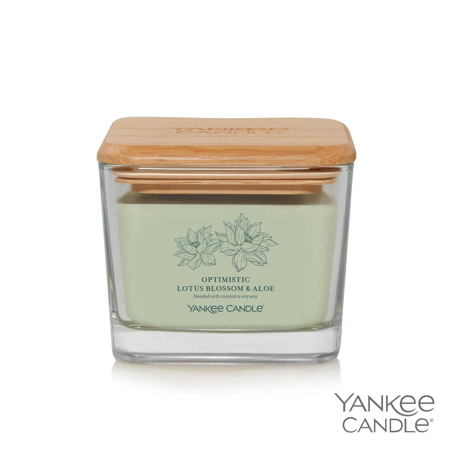 Optimistic Lotus Blossom & Aloe