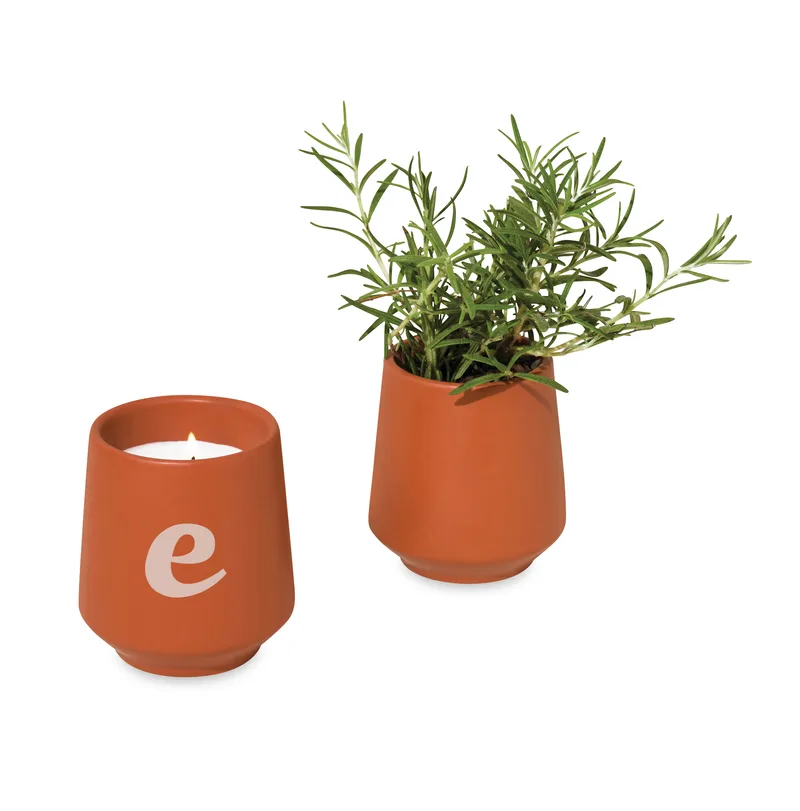 Modern Sprout® Rooted Candle - Sienna-Rosemary