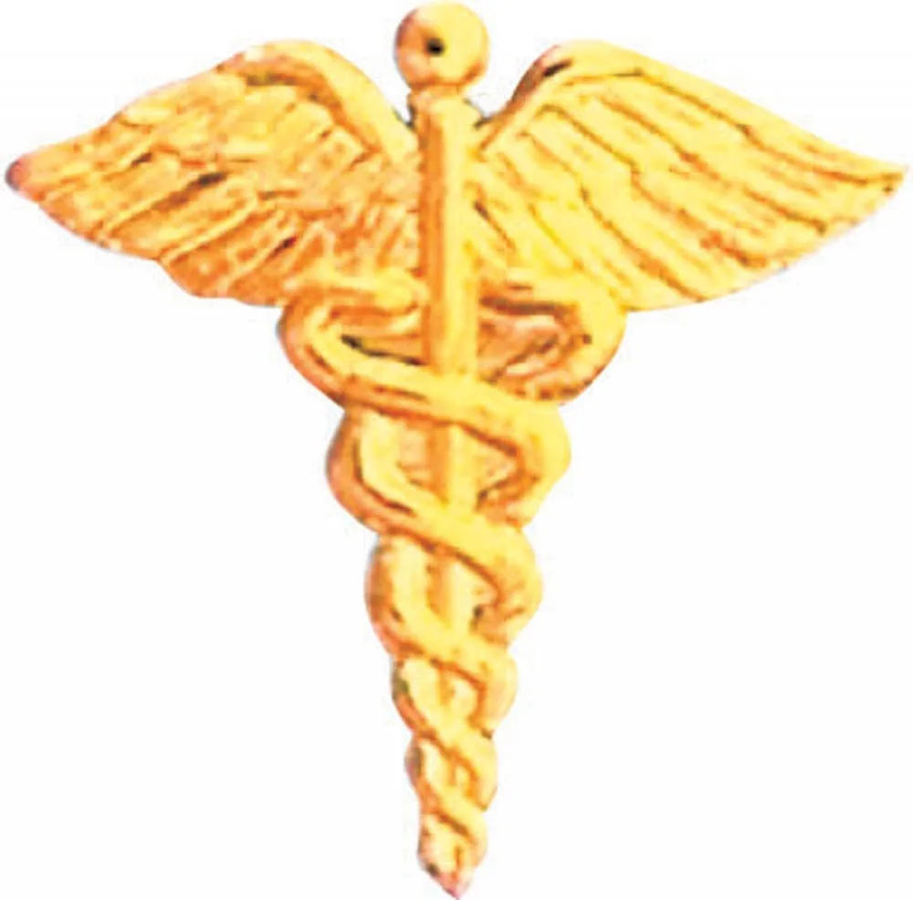 Bright Gold Caduceus Service Lapel Pin