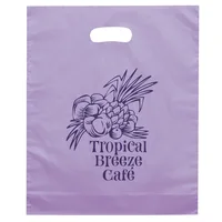 Orchid™ - Frosted Brite Die Cut Handle - Flexo Ink Print (12" x 15" x 3") — Teal Blue