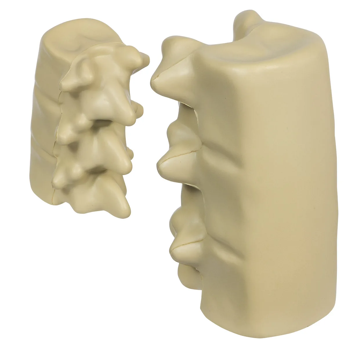 Spinal Segment Stress Reliever view 2