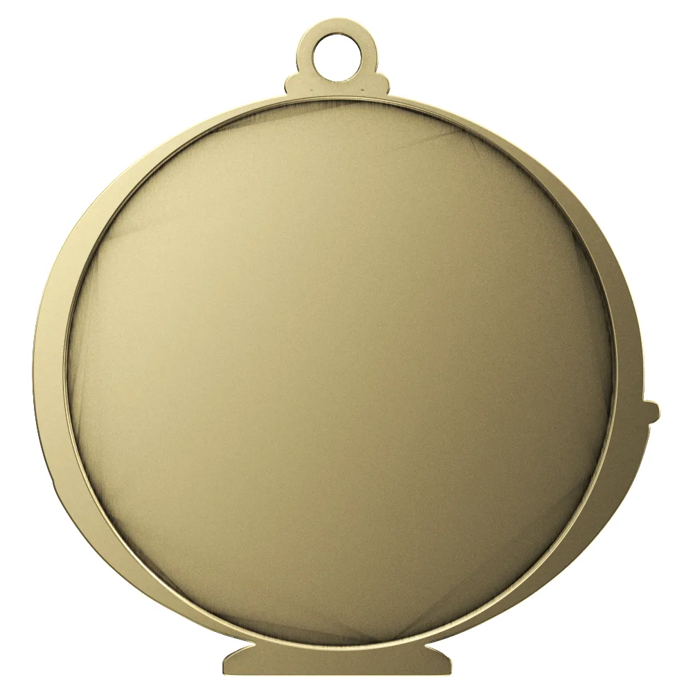 Social Studies Academic Performance Medallion view 2