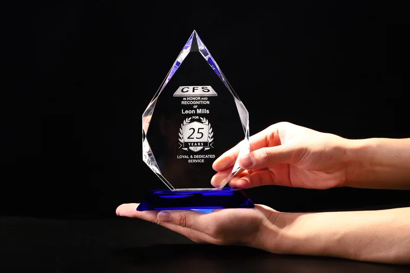 Bluetricet Award