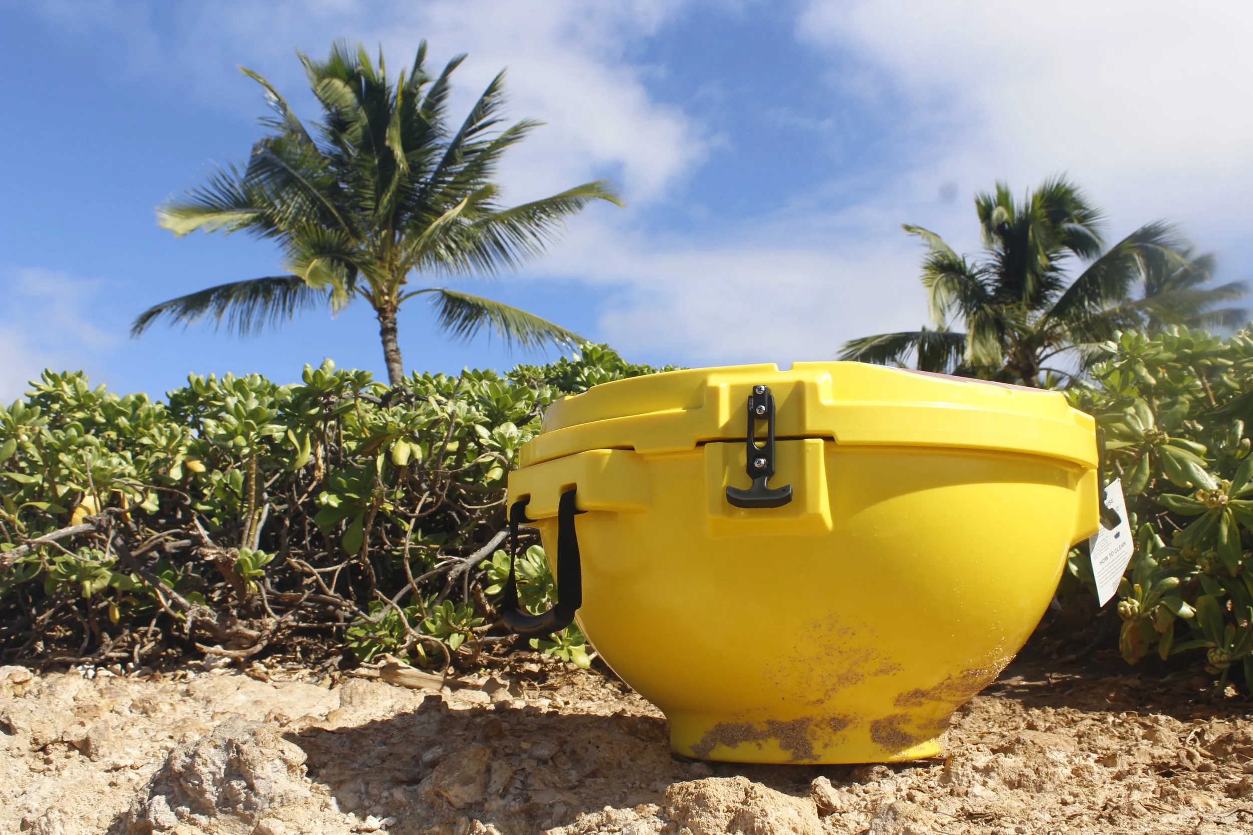 Clam Cooler - Yellow