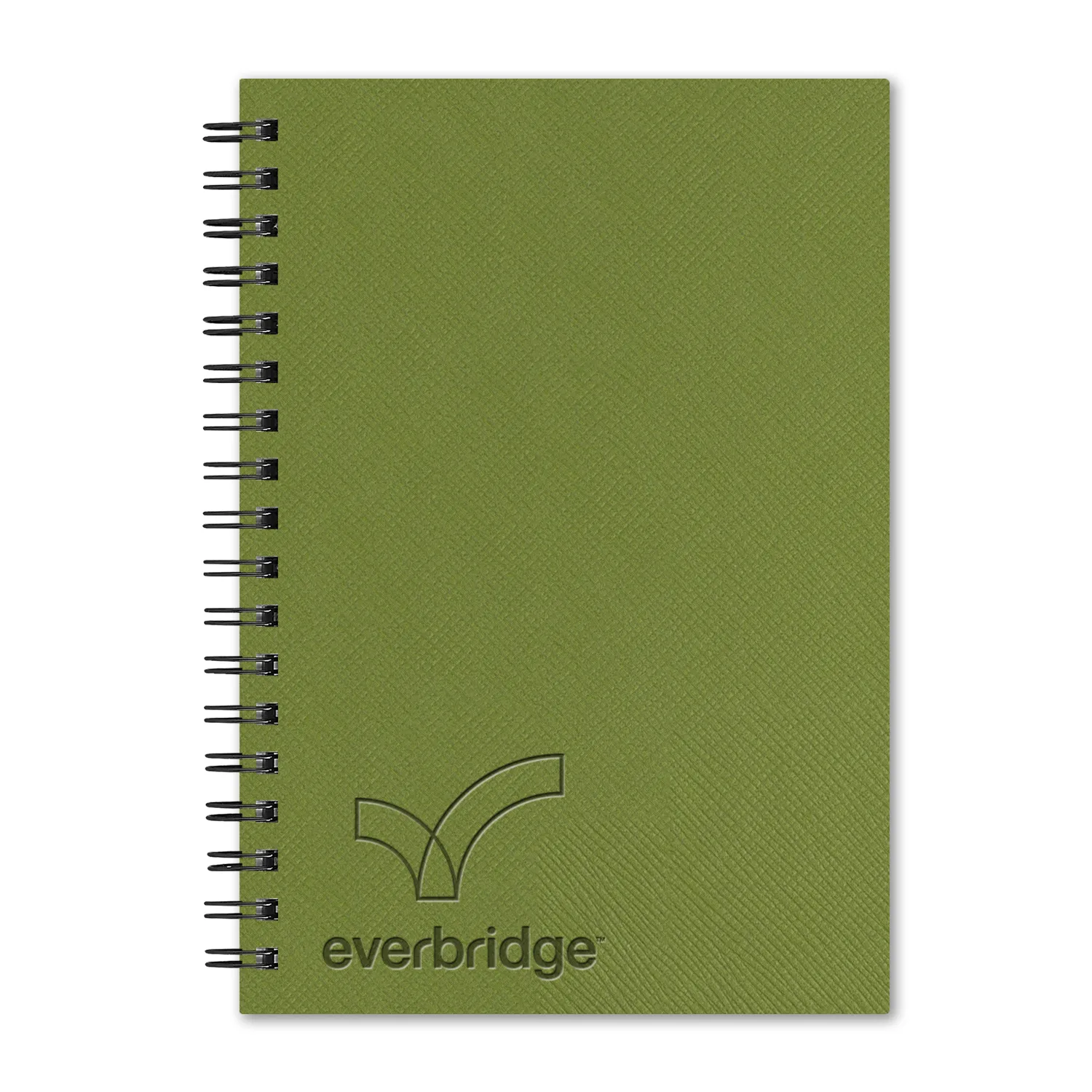 Light Green / Std Academic