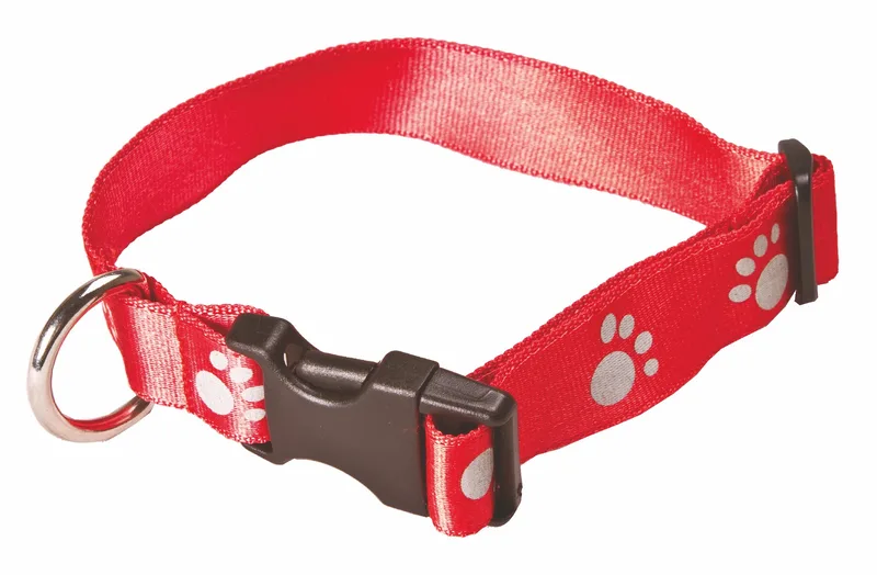 Polyester Dog Collar view 2