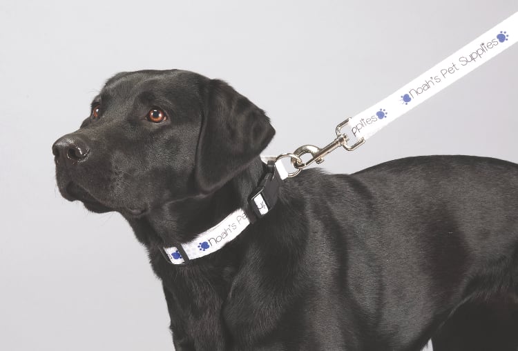 Full Color 1'' Wide Premium Pet Leash
