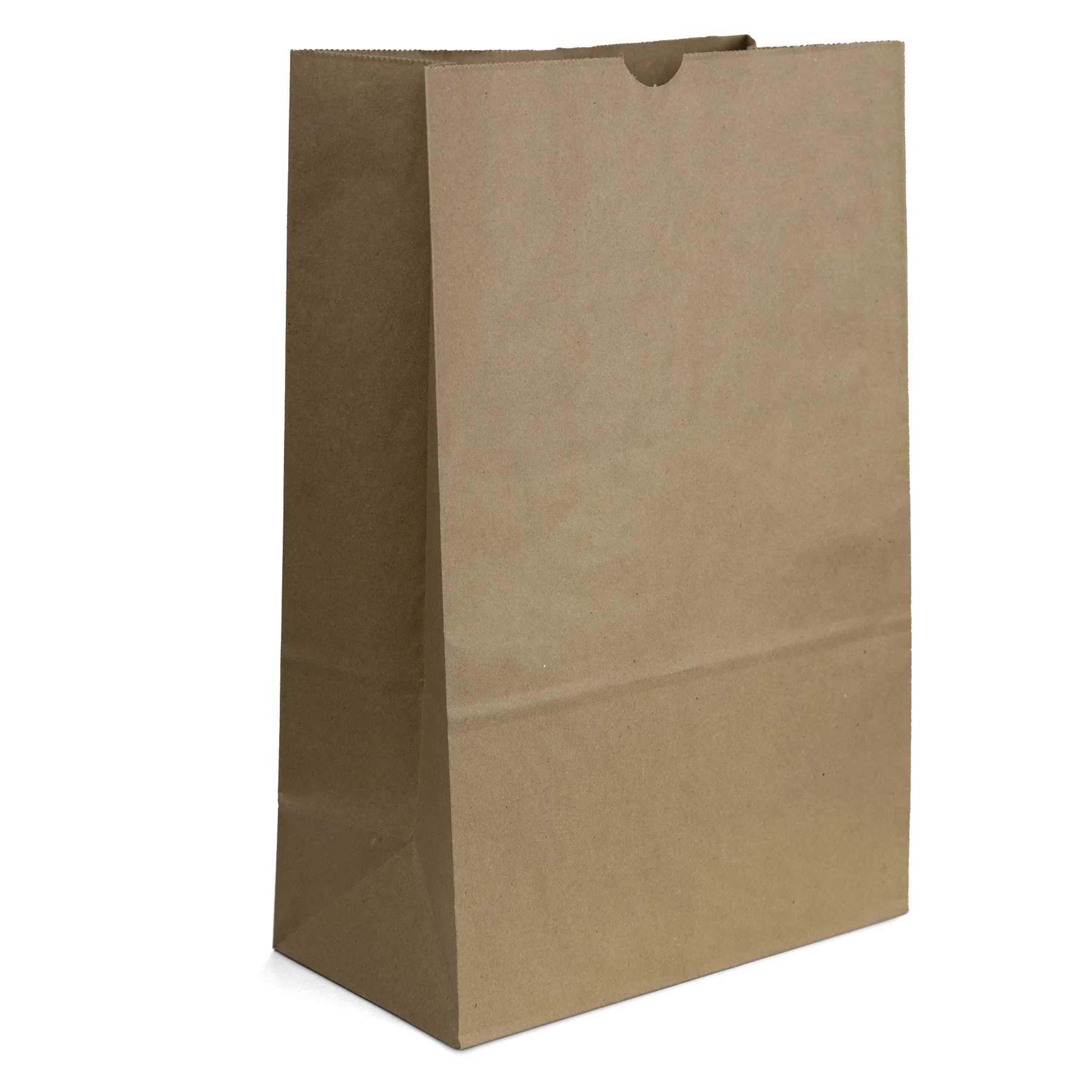 1/6 BBL Bag - Dynamic Color (11" x 6" x 17") view 2