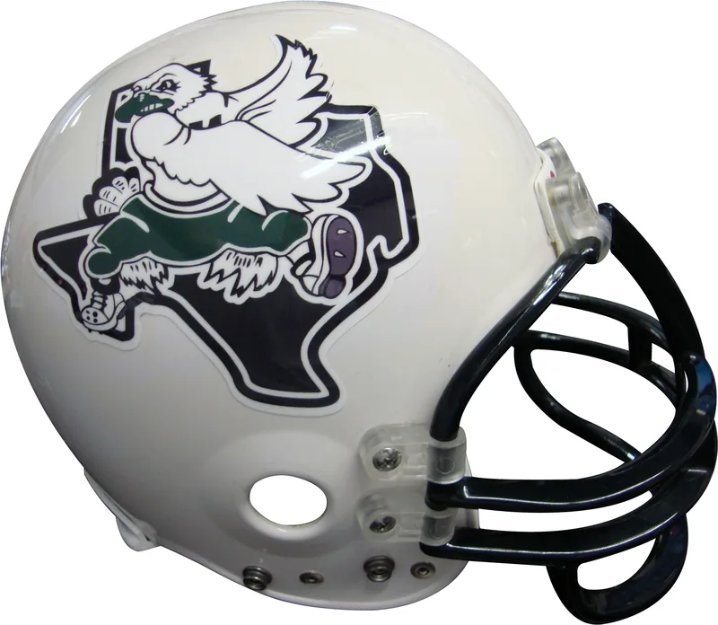Full Color Helmet Side Decal