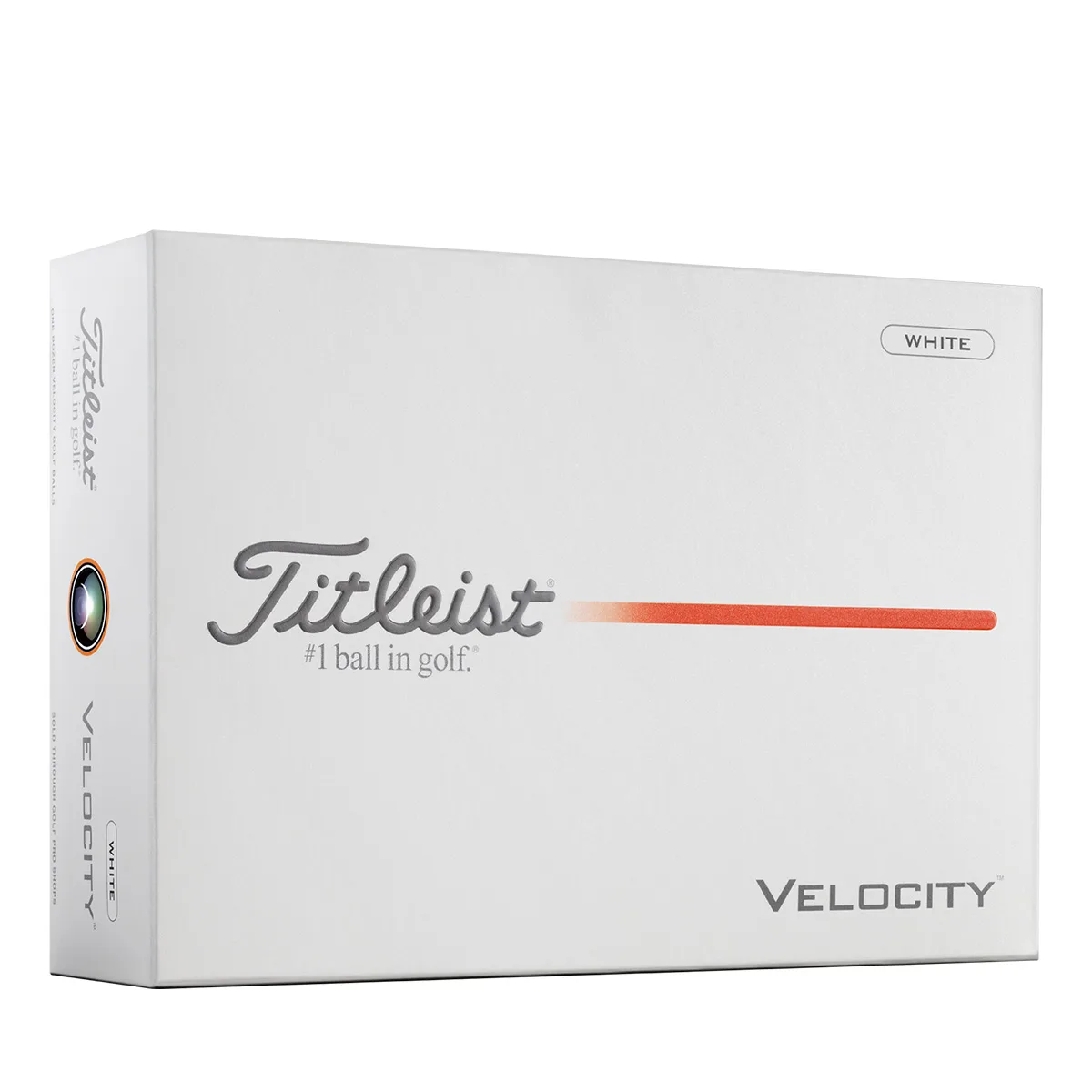 White Blank Dozen Box