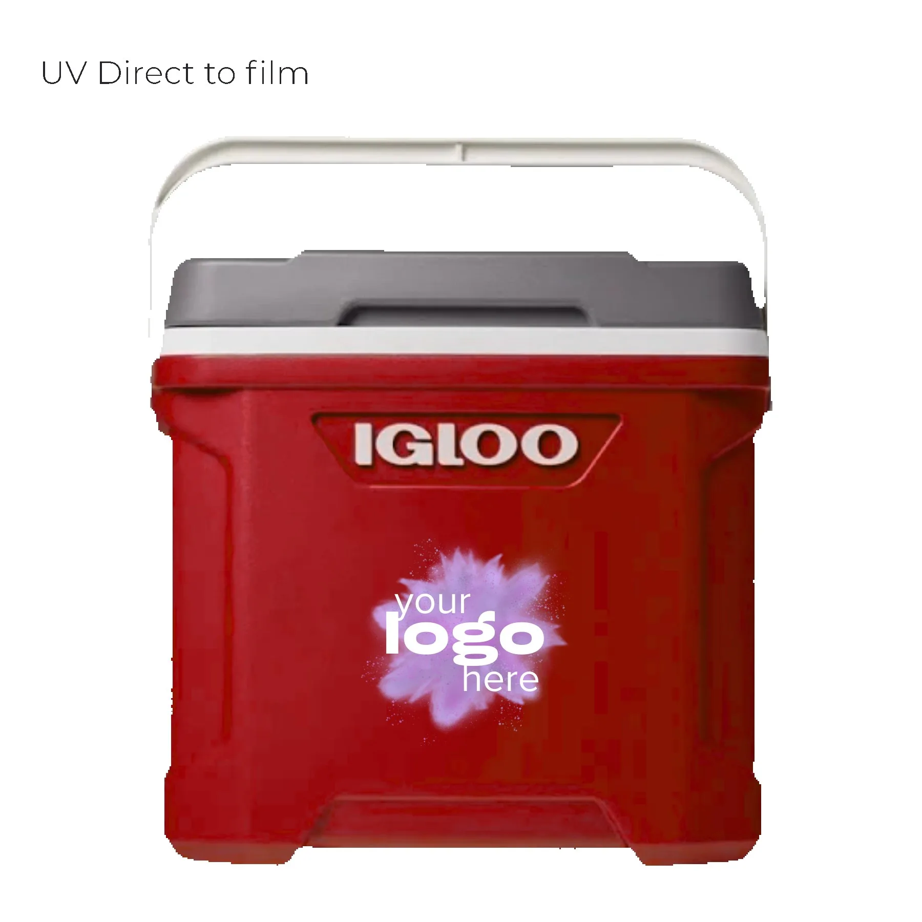 30 Qt. Igloo® Latitude Cooler view 2